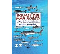 Squali Del Mar Rosso