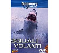 Squali Volanti