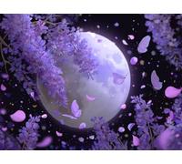 Square Drills Diamond Painting Full Adulte Kits, 5D DIY Carré Diamant Art Images Peinture, Le Papillon Violet Cristal Débutant Complet Set, Point De Croix, Enfant Décoration Murale 70x90cm F-1169