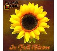 Square One - in Full Bloom