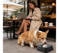 Square Slow Feeder Dog Bowl with Interactive Hidden Lick Ball - 3/4 Cup Capacity Non-Slip Pet Food Bowl | 2-in-1 Slow Feeding Dish for Liquid Treats & Kibble