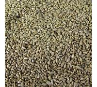 SQUAWK Graines de tournesol - Graines de boulangerie de qualité supérieure sans déchets pour oiseaux sauvages (10L)