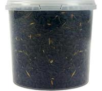 SQUAWK Graines de tournesol noir - Nourriture pour oiseaux sauvages riches en huile pour jardin (2.5L)