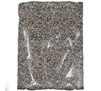 SQUAWK Graines de Tournesol rayées - Graines Grandes Premium pour Oiseaux Sauvages - Idéales pour Les mangeoires et la Nutrition des Oiseaux en extérieur.