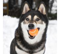 Squeaky Tennis Balls for Dogs,Heavy Duty Interactive Pet Toss & Fetch Toys-Supports Exercise and Behavior Training-2 Pack