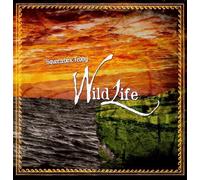 Squeezebox Teddy - Wild Life [Import]