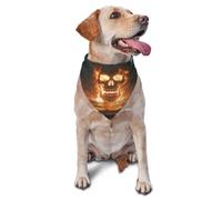 Squeletons And Ships In A Sea Of Fire Imprimé Graphique Animal Triangle Écharpe pour Chiens et Chats, Bandana Mignon Réglable pour Animaux de Compagnie et séances photo