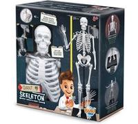 Squelette 85 Cm - Buki Multicolore Multicolore G