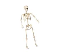 Squelette articulé taille réelle pour Halloween, intérieur et extérieur, décoration étrange pour maison hantée, cimetière, fête, Halloween, décoration squelette