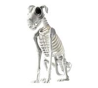 Squelette de Chien Décor - Joints Articulés Chiot Ossature Réaliste | Accessoire Déco Fêtes 44x31cm Intérieur pour Maison Soirées Chambre