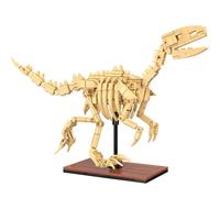 Squelette De Vélociraptor 256 Pièces Beige TU