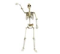 Squelette Decor - Squelette humain grandeur nature avec articulations réglables, figurine debout réaliste | Décoration d'Halloween résistante aux intempéries, accessoires photo effrayants pour maison