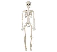 Squelette d'halloween - Posable Skelleton Full Body | Accessoire Squelettique D'Hallooween avec des Articulations Mobiles pour Les Décorations Dees Accessoires D'Haalloween Extérieurs Intérieurs |