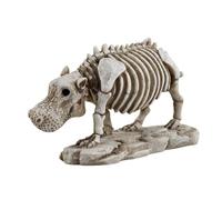 Squelette D'Hippopotame Halloween - Décoration D'Halloween Squelette D'Hippopotame, Squelette En Résine Figure D'Hippopotame | Réaliste Animal Prop Halloween Hippopotame Squelette Simulation Stat