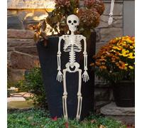 Squelette Humain | Squelette D’Halloween Posable | Avec Articulations Mobiles | Décoration De Figurine De Crâne D'articulations | Décor De Modèle D'anatomie Corporelle Pour Les Accessoires D'Halloween