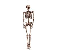 Squelette Skeleton Decoration (160 cm)