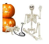 Squelettes pour Halloween Accessoire Réaliste Corps Complet à Os Mobiles | Ensemble de Squelettes pour Halloween Pour Maison Extérieur Porche Fête Maison Hantée