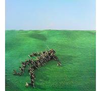 SQUID - BRIGHT GREEN FIELD 2LP/DL CARD - Vinyl Record lp - F123z