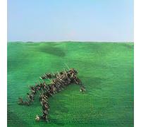 Squid Bright Green Field (CD) Album Digipak