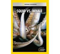 Squid vs. Whale (DVD)