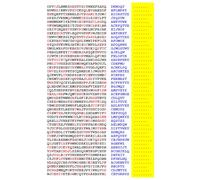 Squint-Word Puzzles: 009