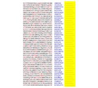 Squint-Word Puzzles: 010