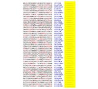 Squint-Word Puzzles: 011