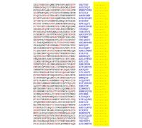 Squint-Word Puzzles: 018