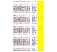 Squint-Word Puzzles: 027