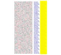Squint-Word Puzzles: 036