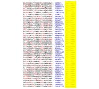 Squint-Word Puzzles: 037