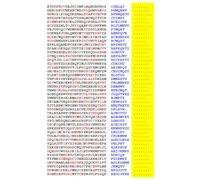 Squint-Word Puzzles: 038