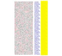 Squint-Word Puzzles: 049