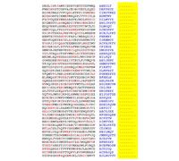 Squint-Word Puzzles: 079