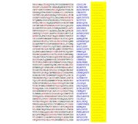 Squint-Word Puzzles: 080