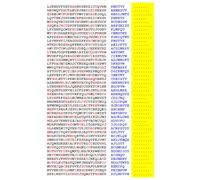 Squint-Word Puzzles: 081