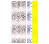 Squint-Word Puzzles: 088