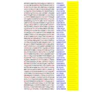 Squint-Word Puzzles: 093