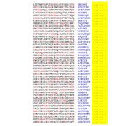 Squint-Word Puzzles: 102
