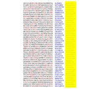 Squint-Word Puzzles: 107