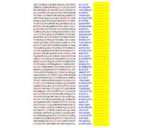 Squint-Word Puzzles: 112