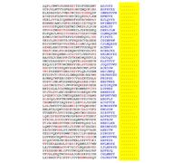 Squint-Word Puzzles: 124