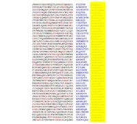 Squint-Word Puzzles: 126