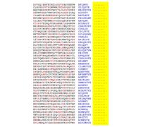 Squint-Word Puzzles: 128