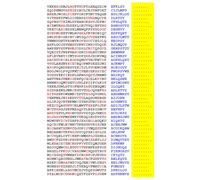 Squint-Word Puzzles: 146