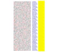 Squint-Word Puzzles: 149