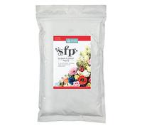 Squires Kitchen Pâte à sucre pour fleuriste (SFP) - Étoile de Noël - Rouge - 1 kg