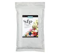 Squires Kitchen Pâte de fleuriste (SFP) Noir 1 kg