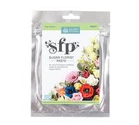 Squires Kitchen SFP Artisanat Sucre Floral Pâte à Modeler Comestible Pour Décoration de Gâteau 200g - Vert Clair