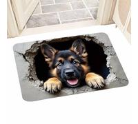 Squirrel and Dog Soft Non-Slip Quick Dry Mat - Optical Illusion Rug, 3D Optical Illusion Rug, Squirrel Dog Floor Mat for Birthday Halloween Thanksgiving Home Holiday New Year Party Living Room